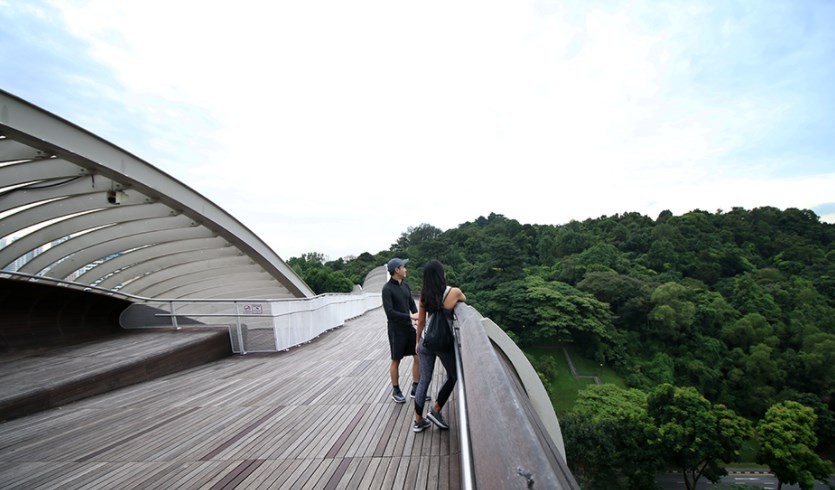 Henderson Waves Bridge